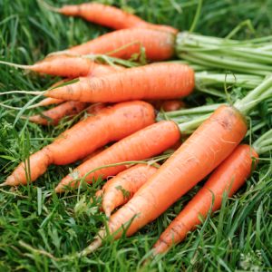 image 81