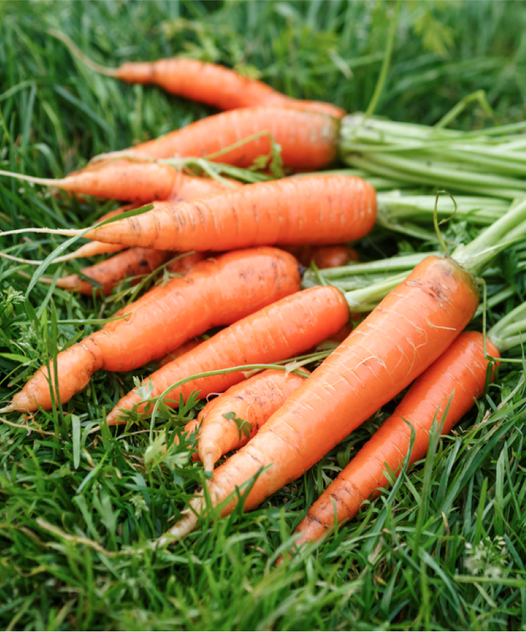 image 81