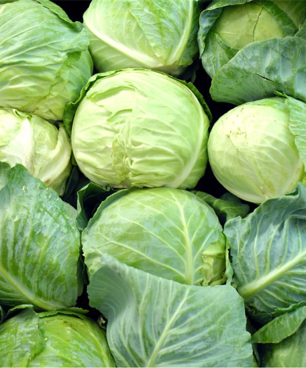 image 87
