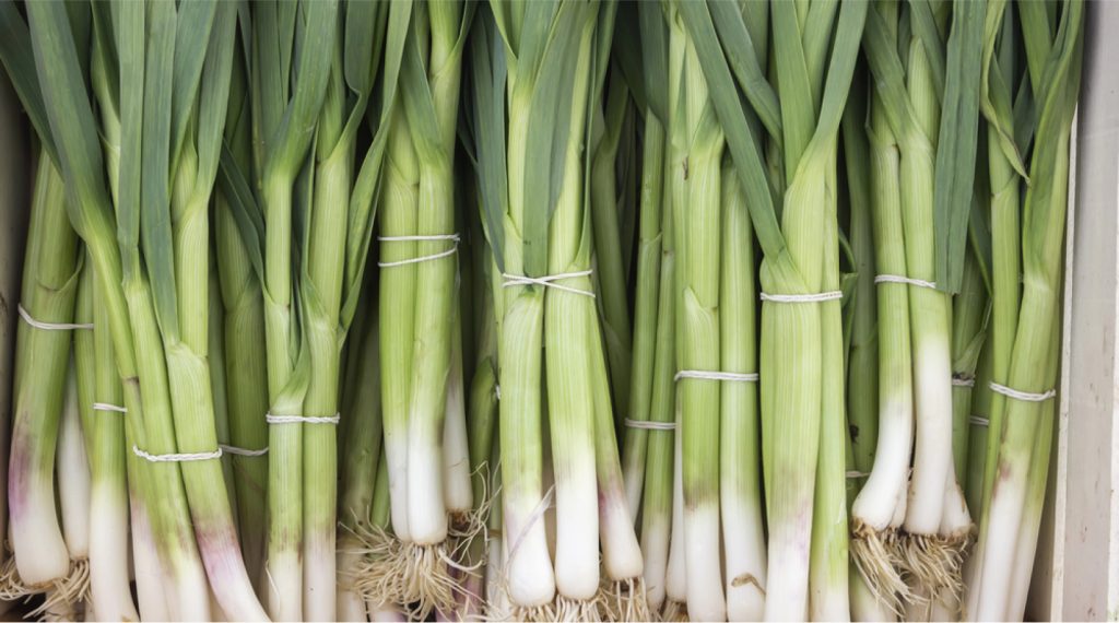 image 94