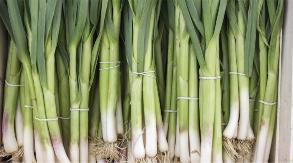 image 94